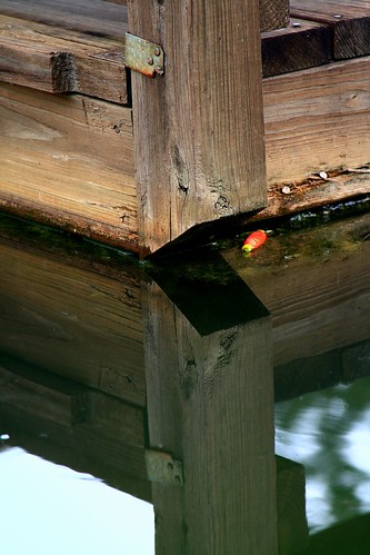 abstract reflection water dock pond post float mrgreenjeans gaylon canonef28135mmf3556isusm gaylonkeeling