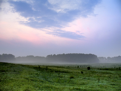 usa sun fog rural sunrise landscape scenery country alabama foggy pasture ethereal