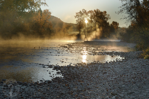 autumn mist bird sunrise river duck idaho boise boiseriver