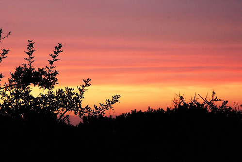 sunset color colour silhouette sunrise cyprus polis