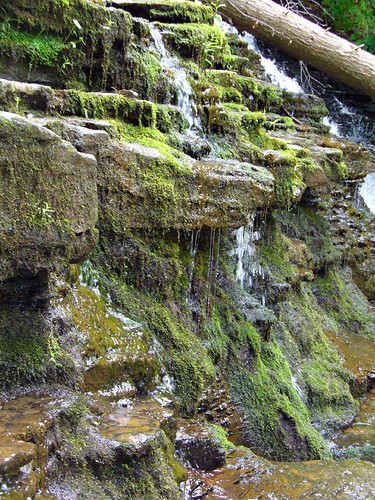 park water waterfall moss rocks pennsylvania pa montrose fallbrook saltsprings saltspringsstatepark franklinforks