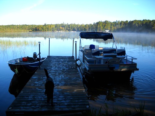 sky dog mist lake ontario reflection puppy boats dock woods ripple wave lakeofthewoods granitelake