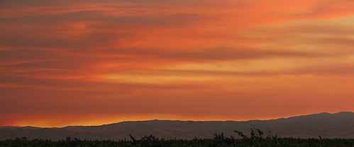 california pink light sunset cloud sun sunlight foothills yellow clouds gold vines day sundown hills end streaks vinyard vinyards