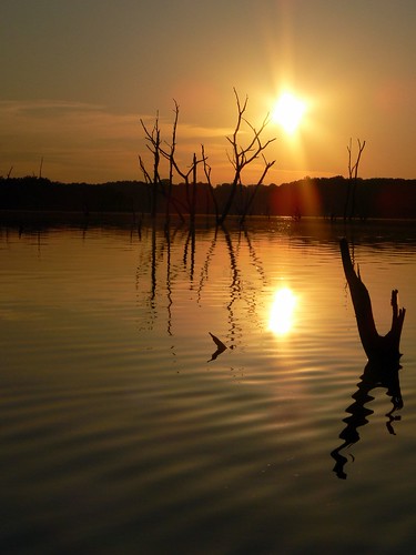 trees sunset lake oklahoma water landscape gold scenic okmulgee drippingspringslake pdpnw