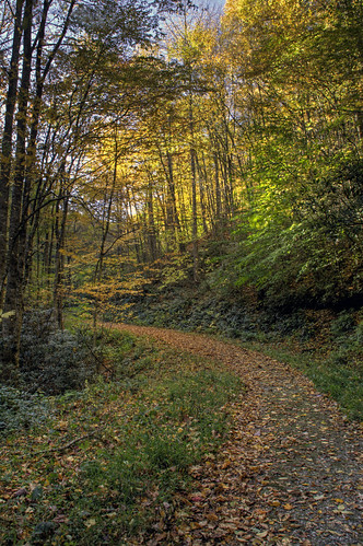 autumn fall leaves nc hiking northcarolina hike trail jrrtolkien ncmountains yanceycounty roaringforkfalls davidhopkinsphotography photocontestfall10 ncpedia