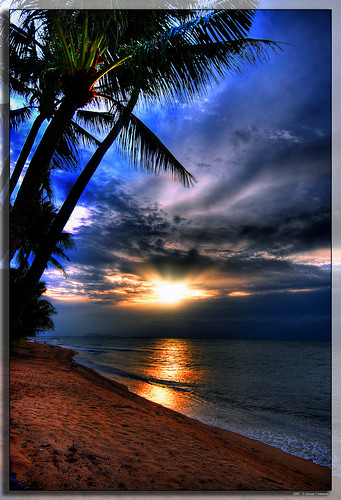 trees sunset sea sun clouds reflections geotagged thailand evening sand bravo palm kohsamui samui sunrays 35faves holidaysvacanzeurlaub superhearts geo:lon=99952154 theperfectphotographer geo:lat=9579084