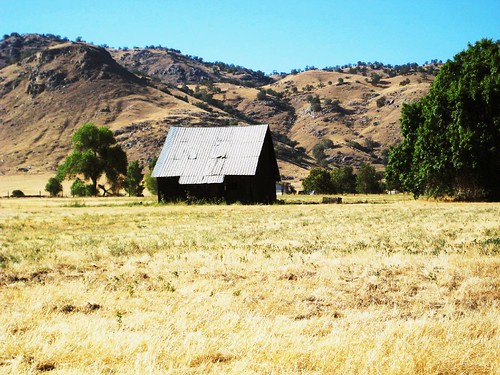 california trip tour valley views farms sanjoaquin excursion centralvalley sightsee seqouianatlpk