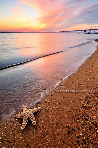 sky seascape reflection beach clouds landscape nikon colorful starfish maryland explore sandypointstatepark photographyblog d7000 sonyphotochallenge