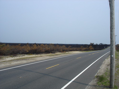 ecology fire newjersey pinelands warrengrove pitchpine