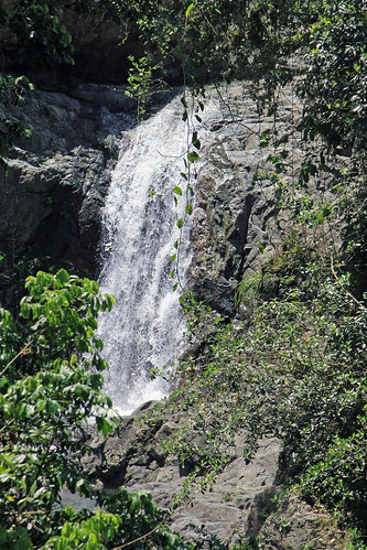 fall water agua puertorico rivers rios adjuntas cascada
