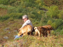 Bob with the dogs 