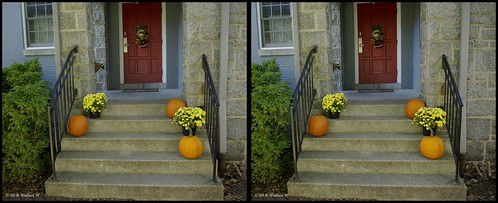 stereoscopic stereogram 3d crosseye md brian maryland stereo wallace stereopair sidebyside stereoscopy stereographic freeview crossview brianwallace xview stereoimage xeye stereopicture porchpumpkins