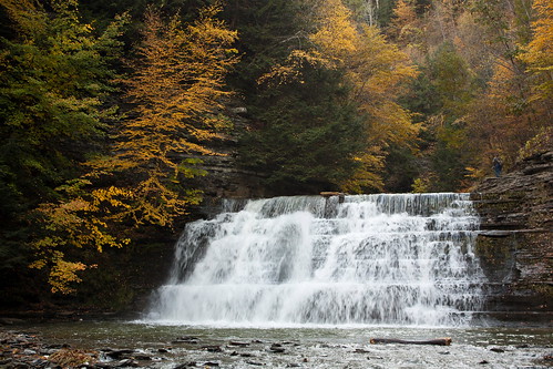 park trees usa fall water river waterfall stonybrook falls gorge newyorkstate gorgetrail stonybrookstatepark