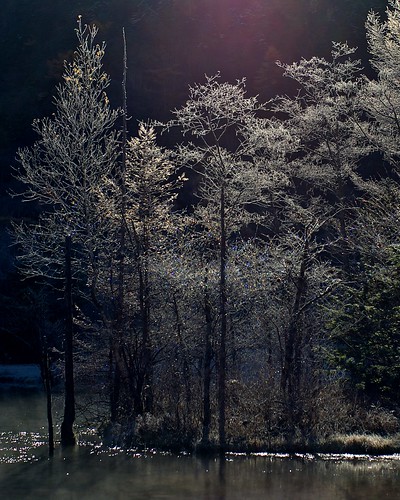 november autumn japan crazyshin nagano kamikochi 2010 上高地 planart1450zf nikond3 田代池 ds83412 gettyimagesjapanq1