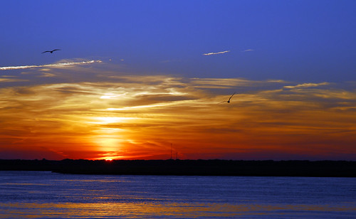 blue sunset red sky orange usa sun reflection bird water night geotagged newjersey twilight d200 gotosleep anawesomeshot colorsofthesun