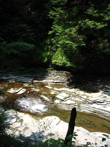 light shadow water creek woods rocks shadows