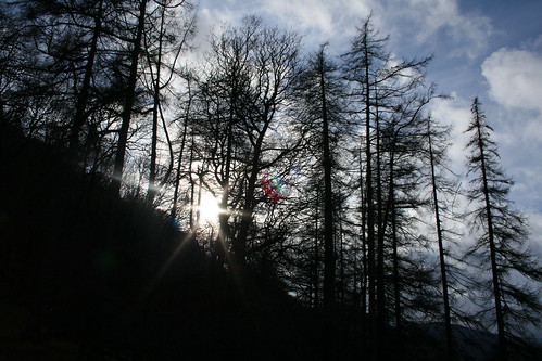 2010.02.28 07 Wicklow Mountains 019