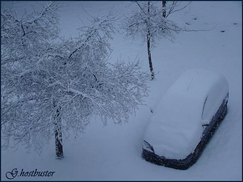 auto italy snow milan tree car italia milano neve albero ghostbuster gigi49