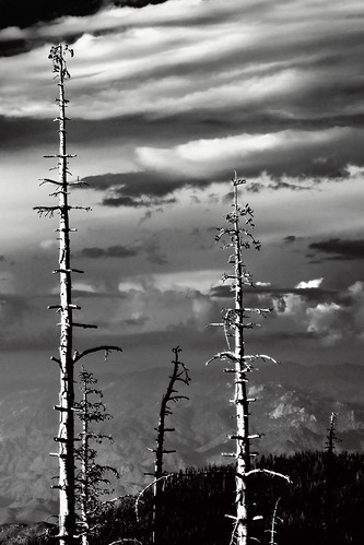 california trees bw white black mountains nature ecology clouds canon landscape outdoors fire rocks hiking exploring hills burnt geography geology burned sierraclub hps charred g11 sequoianationalforest kerncounty southernsierra hundredpeakssection claraville piutelookout