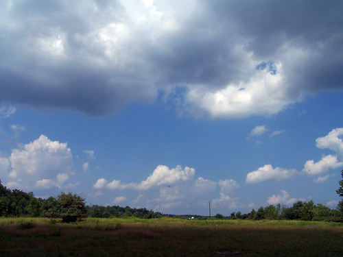 sky tree field clouds greenville august2007