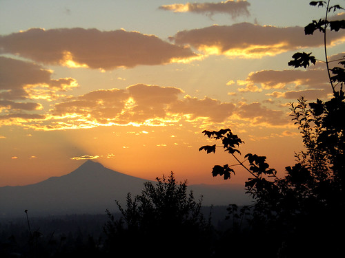 trees mountain silhouette clouds sunrise waiting mthood ourdailychallenge beginswithw