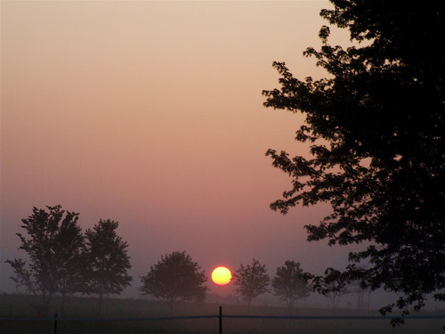 sun mist fog sunrise geotagged earlymorning award invite westernkentucky flickrsbest superbmasterpiece beyondexcellence smithmillskentucky hendersoncountykentucky geo:lat=37796695 geo:lon=87754368 bestofformyspacestation