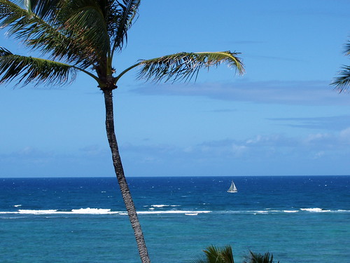ocean blue sky water sailboat hawaii oahu palmtree punaluu