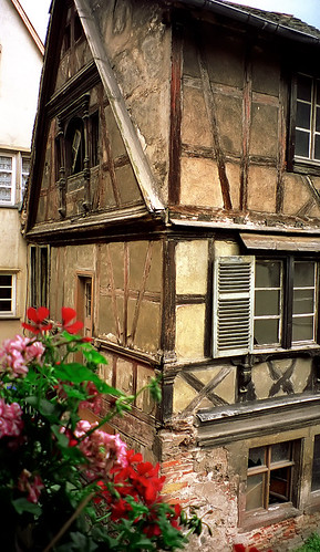 flowers france photo colmar alsace halftimbered europe1999 10thanniversary flyertalk viewfromhotelroom 10thanniveurope1999