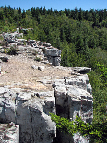 trees tree rock forest woods rocks altitude scenic rocky wv westvirginia evergreens vista s5 outcropping dollysods img8863 rorbaughplainstrail theunnamedvista