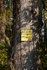 Wildlife management area