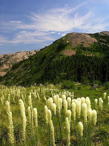 summer mountains nature landscape scenic idaho rockymountains beargrass kootenaicounty