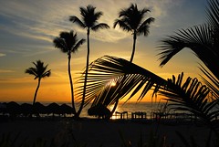 Punta Cana Sunrise