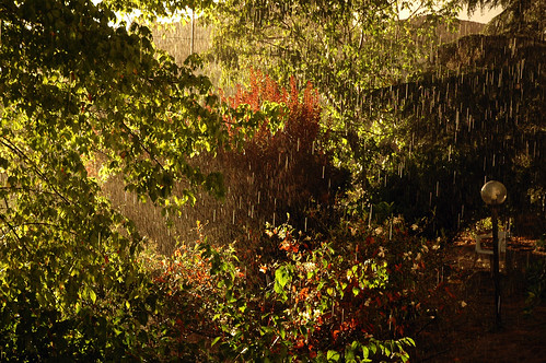summer sun storm nature rain estate natura nikond70s sole pioggia temporale unusualseasons