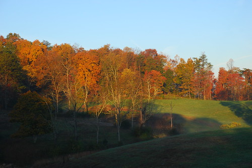 autumn trees color fall landscape westvirginia waverly