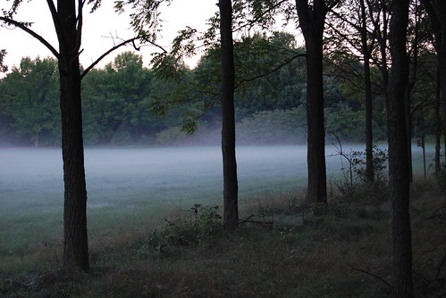 morning fog notredame southbend