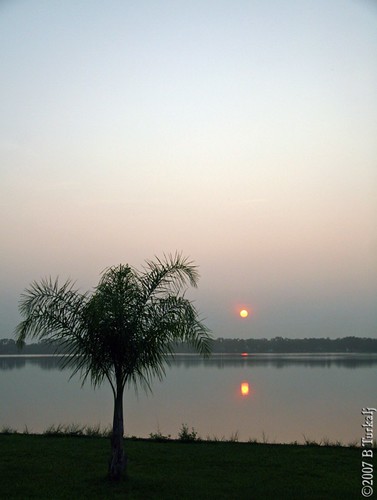 lake sunrise florida whippoorwill