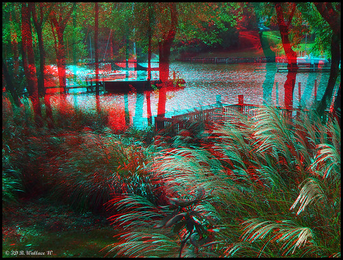 outside outdoors stereoscopic 3d md brian maryland anaglyph wallace pasadena stereoscopy stereographic brianwallace stereoimage stereopicture