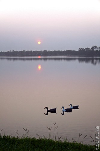 lake sunrise duck florida