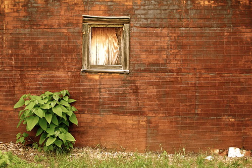 red urban color building green texture graveyard wall composition contrast rust decay secret rich saugerties thechallengefactory