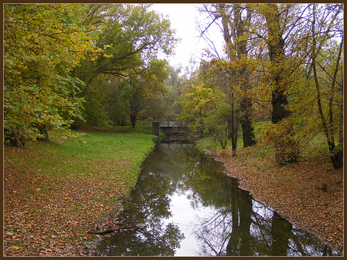 autumn reflection fall river stream hungary vac vác patak folyó õsz gombáspatak gombás