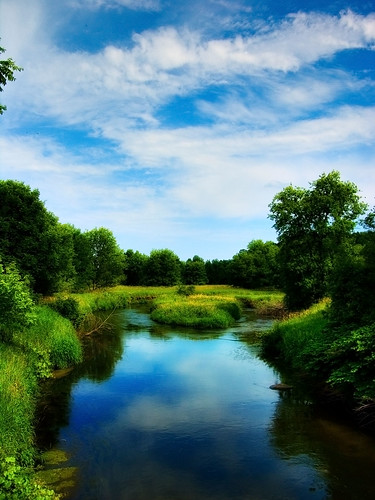 blue trees sky white black green water grass yellow clouds river bushes naturesfinest