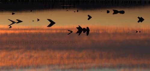 november autumn sunset reflection water nikon driftwood boynecity lakecharlevoix d60