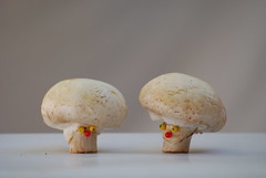 mushroom


cogumelo