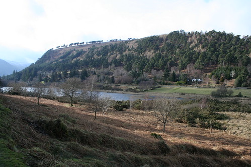 2010.02.28 07 Wicklow Mountains 002 Lower Lake