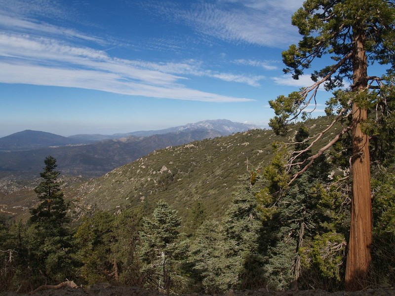 We continued driving around the side of Santa Rosa Mountain. This is the view to the north.
