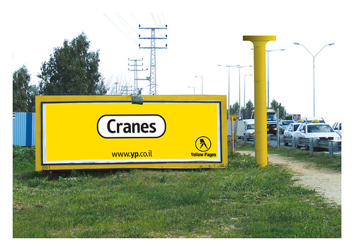 Y&R Billboard - Cranes