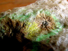 Uranium Minerals