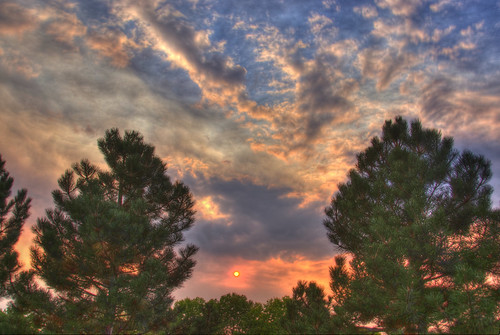 trees sunset sky color clouds fire colorado denver wildfire 201010