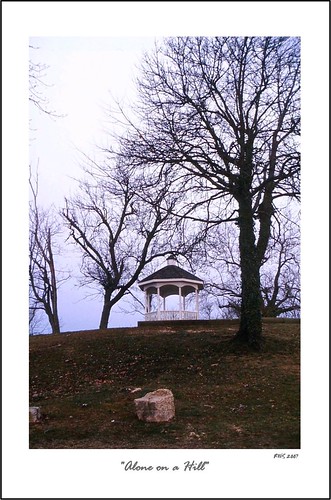 leica trees winter colour film analog 35mm landscape kodak hill maryland gazebo vintagecamera lonely chesapeake patuxentriver gold200 leicaii leitzelmar5cmlens