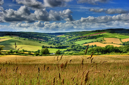 england sky sunlight barley rural canon spectacular landscape outside outdoors eos countryside daylight photo scenery view searchthebest wideangle best devon vista canoneos hdr highdynamicrange 202 thegreatoutdoors theworld planetearth ashcombe bestset tripleshot greenfields 3xp photomatix tonemapped aeb 3exposures truetone hdrimage handheldhdr hdrsky hdrskies hdrpicture bestimage hdrclouds abigfave abigfav impressedbeauty aplusphoto topimage photomatixhdr hdriimage rmrayner ralphraynerphoto coolestphotographers elitephotography spectacularshots hdrview ralphrayner hdrscene landscapeandsky landscapewithsky
